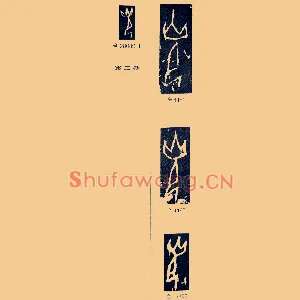 光