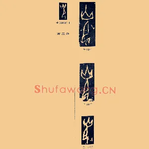 光