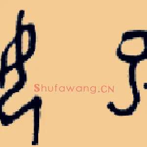 姒