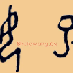 姒