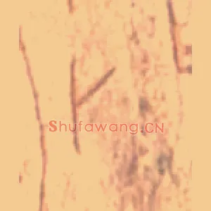 卜